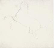 Edgar Degas Study of a Horse from the Parthenon Frieze Germany oil painting artist